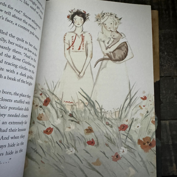 Snow & Rose by Emily Winfield Martin (2017, Hardcover) First Edition - Picture 6 of 6